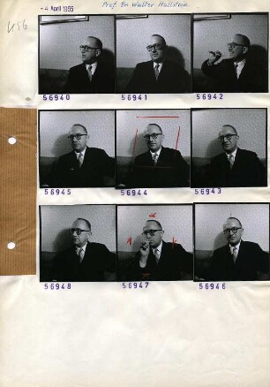 Portraitserie Walter Hallstein