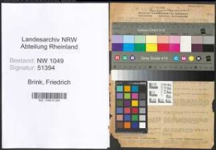 Entnazifizierung Friedrich Brink , geb. 13.07.1903 (Anwalt)