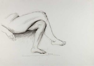 Ohne Titel (Beine)