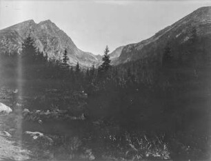 Wald und Gebirge : Blick über einen Wald auf ein Gebirge