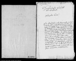 Erneuerung des Stadtgerichtes