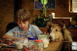 Lassie - Ein neues Abenteuer