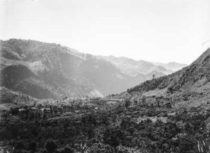 Vegetationsansicht : Vegetation eines Gebirges