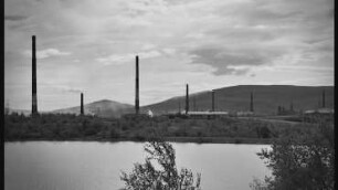 An Environmental History of the Soviet Arctic