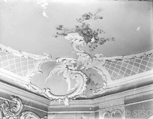 Potsdam, Neues Palais, Fleischfarbene Kammer, R.:180, Nordwestecke der Decke.