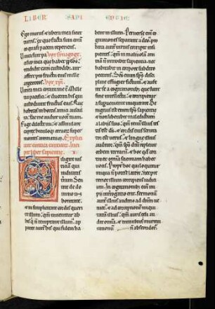 Zierinitiale (Sapientie Salomonis): D(iligite iustitiam)