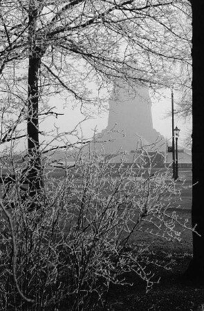 Blick durch vereiste Äste auf das Völkerschlachtdenkmal