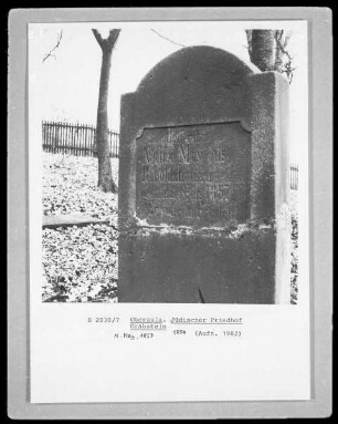 Grabstein von Nathan May, gestorben 1857