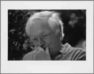 Martin Walser, Überlingen