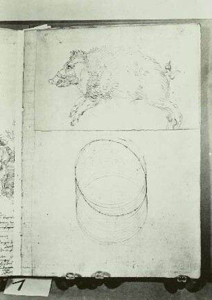 Seite 177 mit Wildschwein : Dresdner Skizzenbuch (1507/1528). Seite 177 mit Wildschwein. Dresden: SLUB Mscr.Dresd.R.147.f