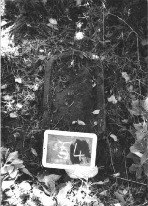 Kindergrab 54