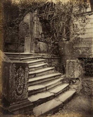 Studien vom Heidelberger Schloss und anderen Ruinen: Treppe zum Schlossbalkon