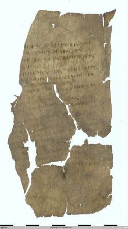 Septuaginta, Psalm 25, 7 – 26, 7
