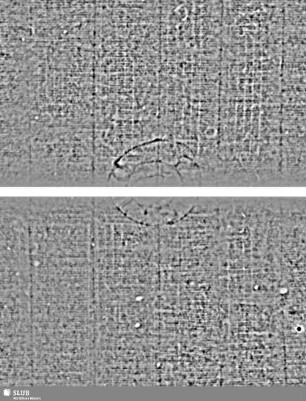 COLDIZ = Tenor II; S.303/304+313/314