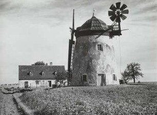Turm-Windmühle in Kaufbach bei Wilsdruff