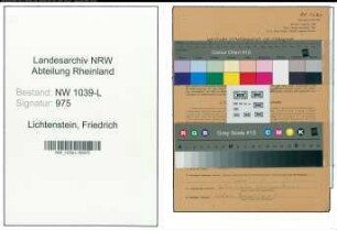 Entnazifizierung Friedrich Lichtenstein , geb. 31.03.1906 (Beamter)