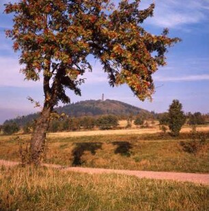 Erzgebirge, Geising : Erzgebirge. Geisingberg (824 m) mit Luisenturm (1891) zwischen Stadt Geising und Altenburg
