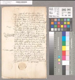 Gerichtliche Einführung des Rotger Colner in den B[enninghausener] Brodermanshof zu Gottinge [Göttingen] im Kirchspiel Liesborn durch den Gografen Casper Goswin zu Hertfelde [Herzfeld].