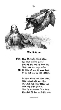 Maikäfer.