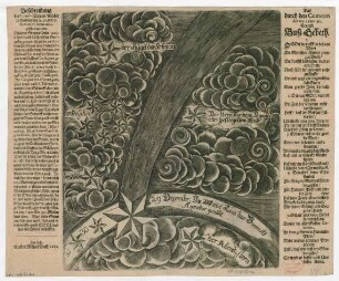 Beschreibung des Comet-Sterns/ welcher zu Breßlau den 29. 30. und 31. Decembr. Anno 1680. gesehen worden