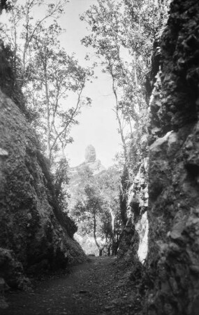Frankreich, Marseille : Reiseaufnahmen aus Frankreich. Calanque bei Marseille