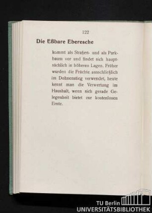 Die Eßbare Eberesche: Sorbus aucuparia dulcis.