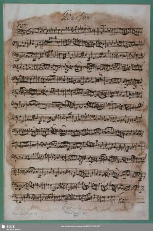 Basson : Schreiber: Bach, Johann Sebastian