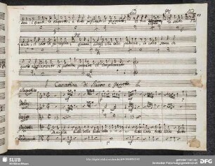 Cavatina: Damiglia tutta bella