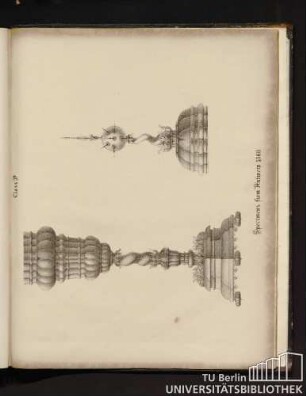 Specinems from Antwerp 1568