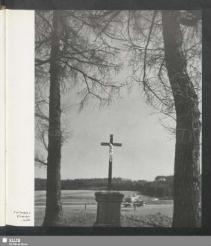 Vor Trockau (Frankenwald)