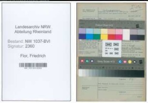 Entnazifizierung Friedrich Flor , geb. 08.11.1888 (Zollbeamter)