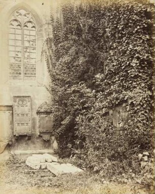 Studien an der gotischen Peterskirche in Heidelberg: Chorfenster mit Efeu