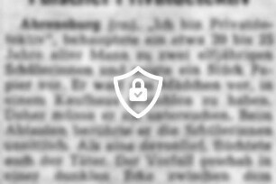 Falscher Privatdetektiv