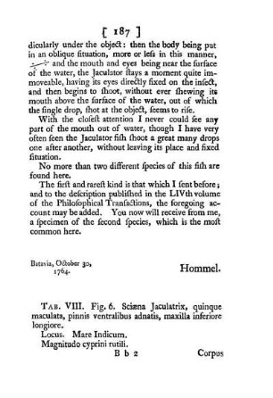 XXI. Some further intelligence relating to the jaculator fish