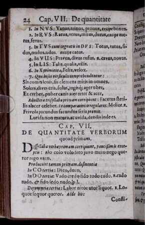 Cap. VII. De Quantitate Verborum quoad primam
