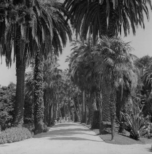 Jardim Bota^B0nico de Lisboa