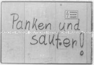 Graffiti: "Panken und saufen!" (Altersgruppe 18-21)