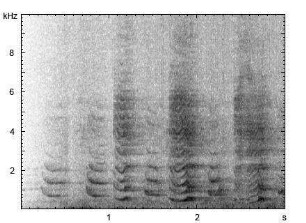 Hausesel | Equus asinus f. asinus - Lautfolge