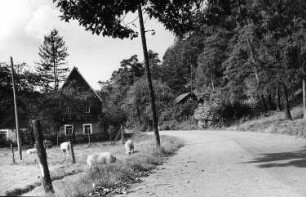 Wilsdruff-Grund. Huthaus Wüstarabien unterhalb der sog. Weißen Halde bei Grund