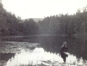 Donoperteich. Detmold. Hiddeser. Papierabzug
