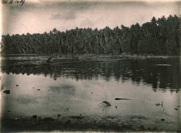 "Mer intérieure sur Nauru"