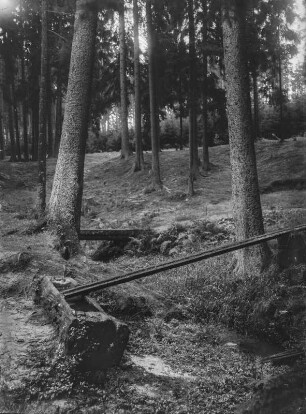 Brunnen im Wald