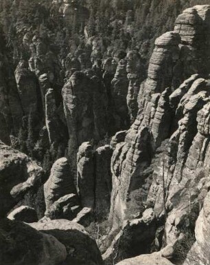 Elbsandsteingebirge. Basteigebiet. Tiefblick in den Raaber Kessel