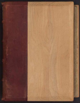 Pontus und Sidonia - BSB Cgm 577