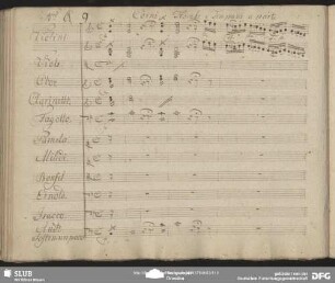 Quintetto: "Pace mio bel visetto"