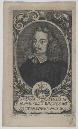 Bildnis des Thomas Pancovius
