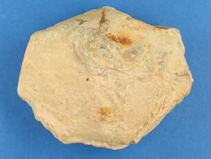 Chalcedon