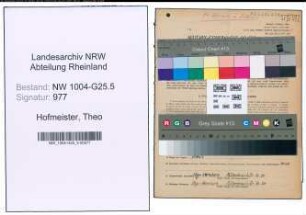 Entnazifizierung Theo Hofmeister , geb. 26.11.1905 (Schreiner)