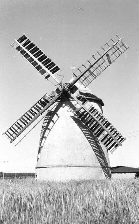 Doberschütz-Paschwitz. Mühle Friedemann, Turmholländer, Mühlweg 4