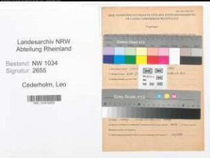 Entnazifizierung Leo Cederholm , geb. 20.05.1852 (Generalleutnant)